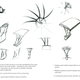 Image for article titled Concept Tire Splits in Eight to Maintain Traction at all Times